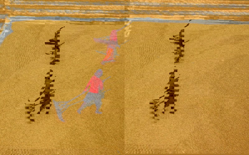 Dibakar Roy - Farmers Drying Unhusked Rice